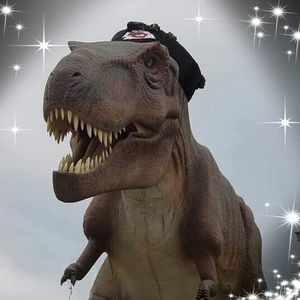 Meet your Posher, January